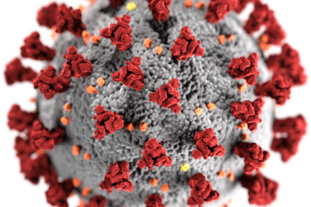 coronavirus image